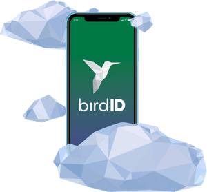 Bird-Id
